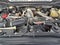 2023 Ford Super Duty F-350 DRW Pickup XL