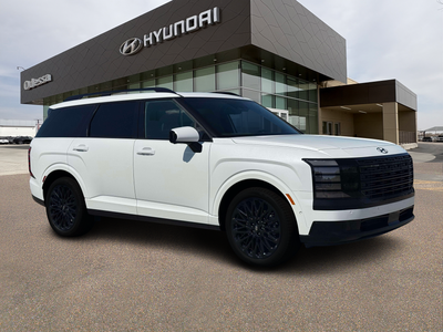 2027 Hyundai PALISADE HYBRID Calligraphy Black Ink