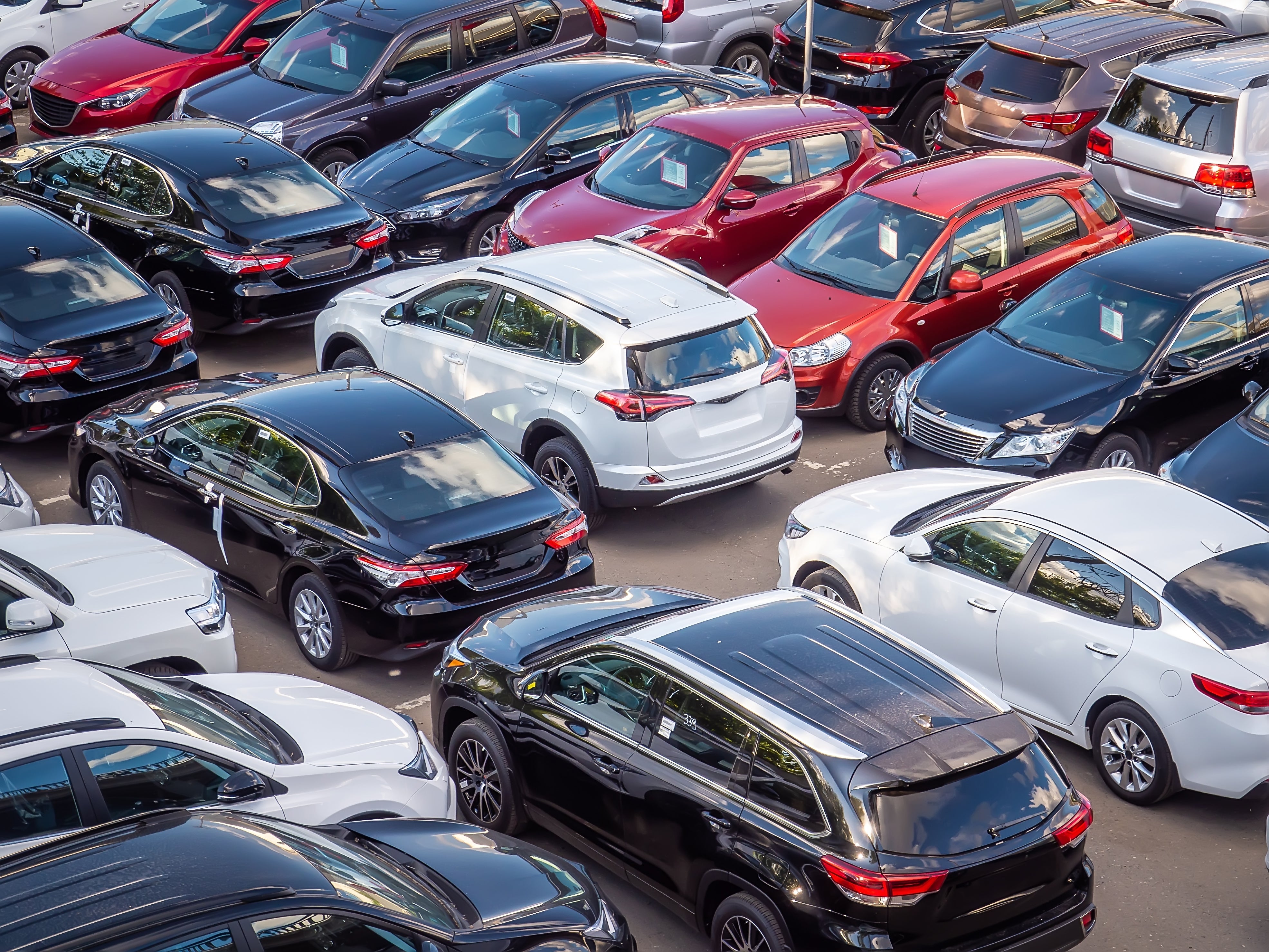 An assortment of white, red, black, and gray sedans, SUVs, and trucks at a used car dealership